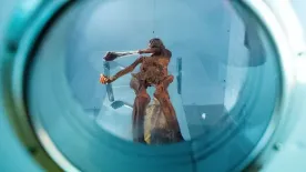 7 elképesztő dolog, amit jégbe fagyva találtak – Ezekről fogadjunk, még nem hallottál