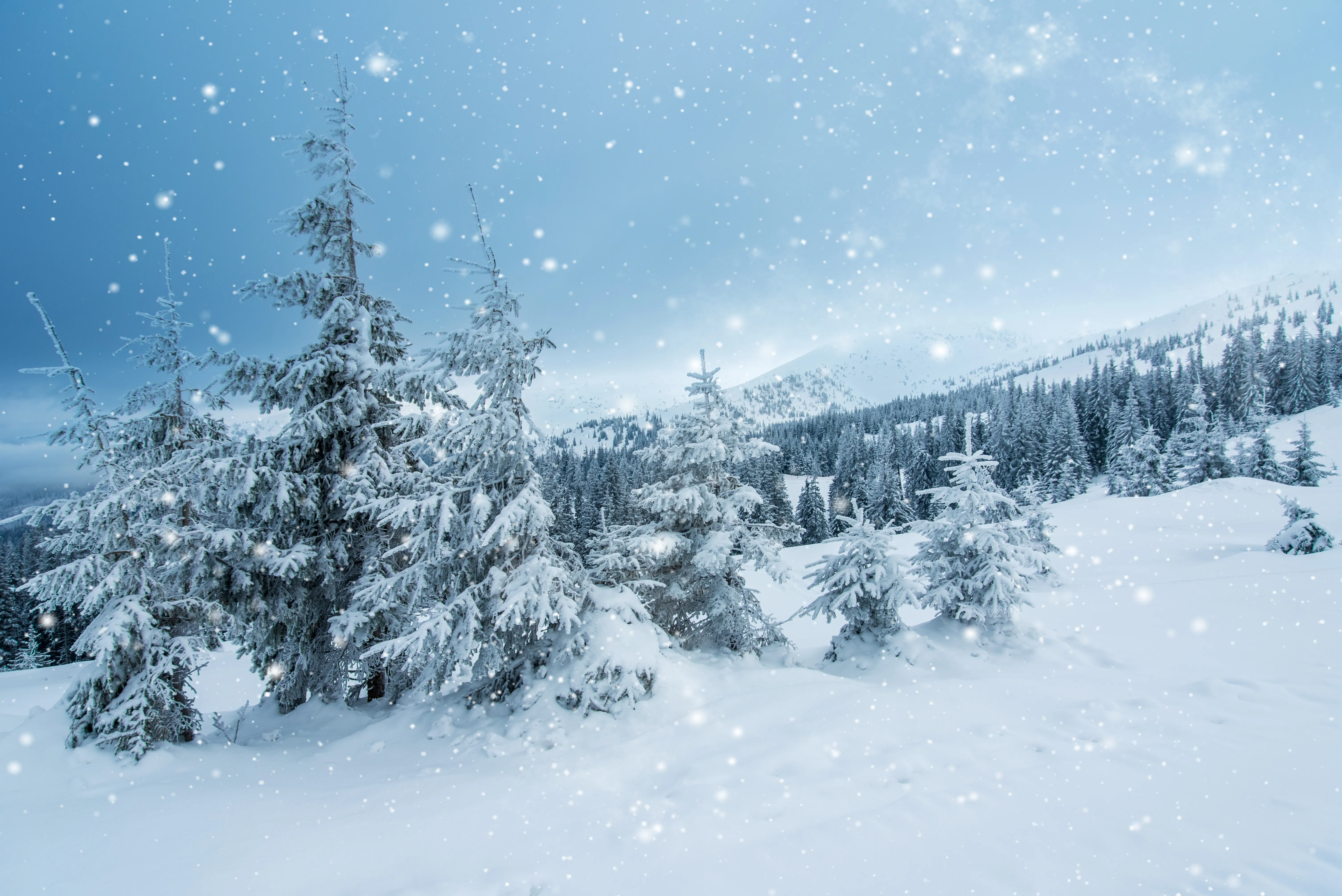 Kvíz kérdést ábrázoló kép