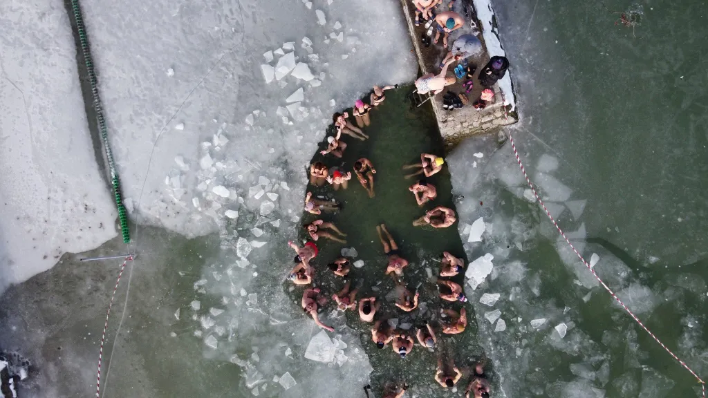 Balatoni Jegesmedvék