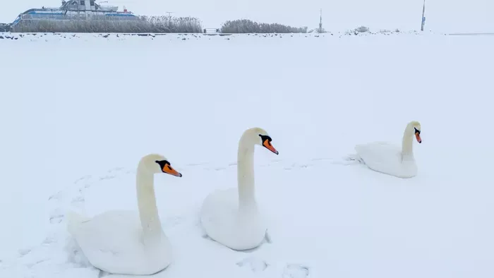 Jégbe zárt csodák: ilyenek befagyott tavaink