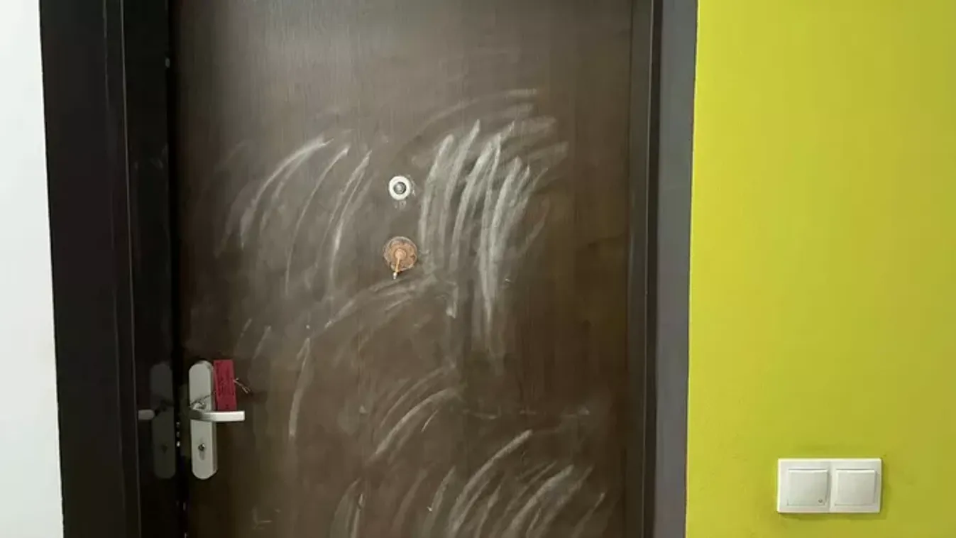 Letartóztatták az angyalföldi gyilkosság elkövetőjét – Az Igazságügyi Megfigyelő és Elmegyógyító Intézetbe szállították