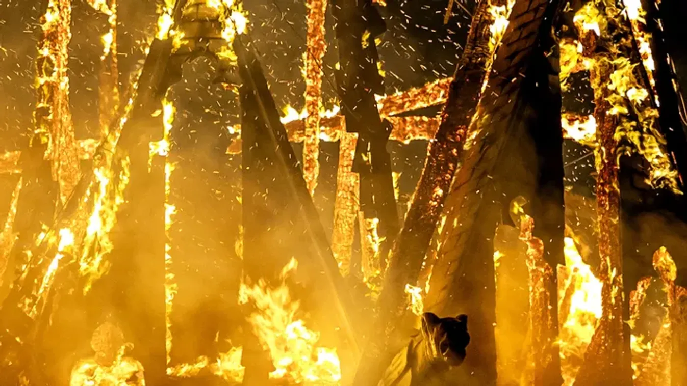 Szörnyű tragédia történt Tiszalökön