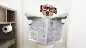 Mindent megpróbáltál, de semmi sem segít? Íme 5 mennyei nassolnivaló, ha székrekedéssel küzdesz