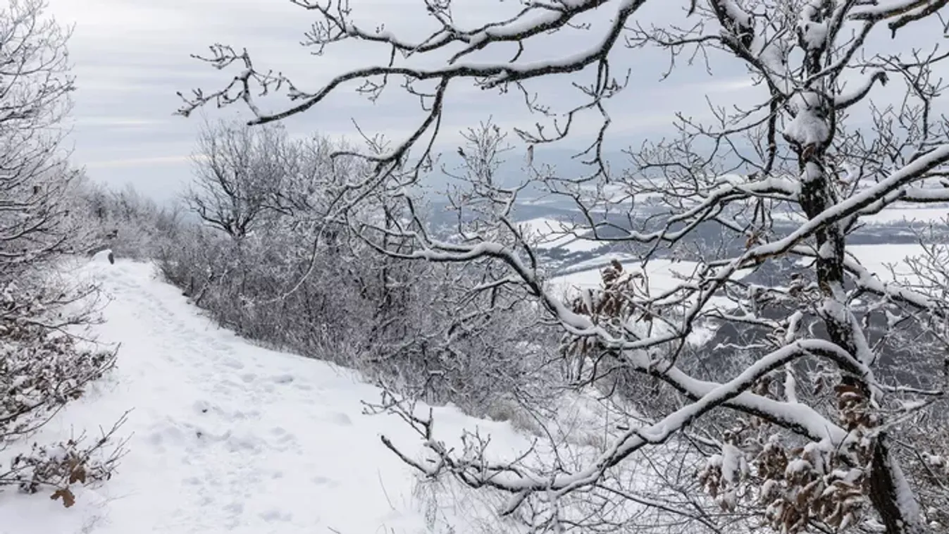 Ilyen mesés a rideg tél a magyar erdőkben – Galéria