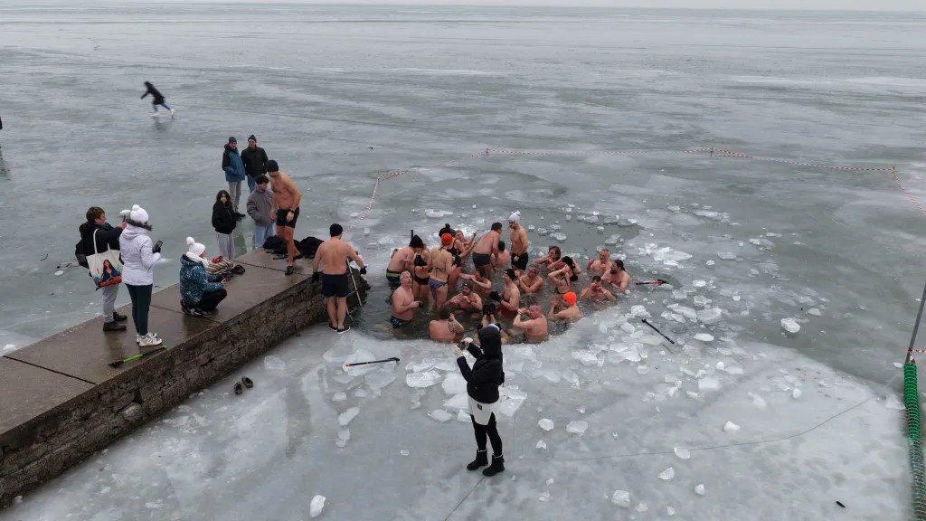 Balatoni Jegesmedvék