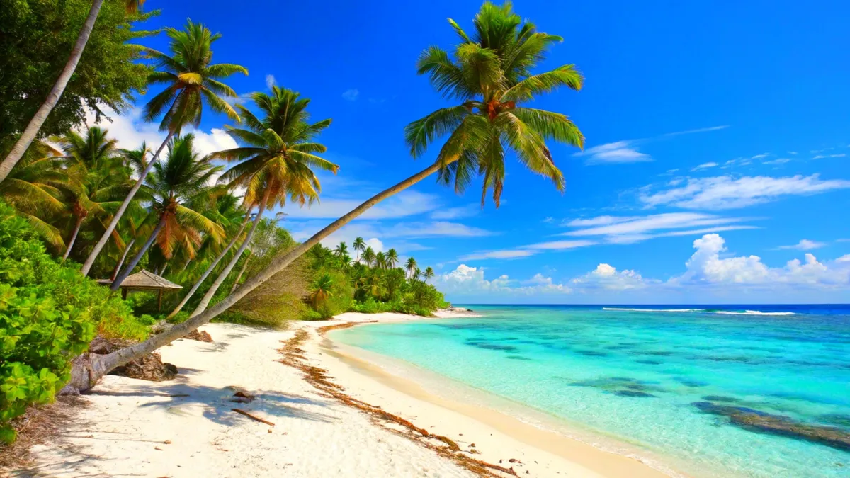 Ashley Roberts majdnem megmutatta, mi van a törölköző alatt 