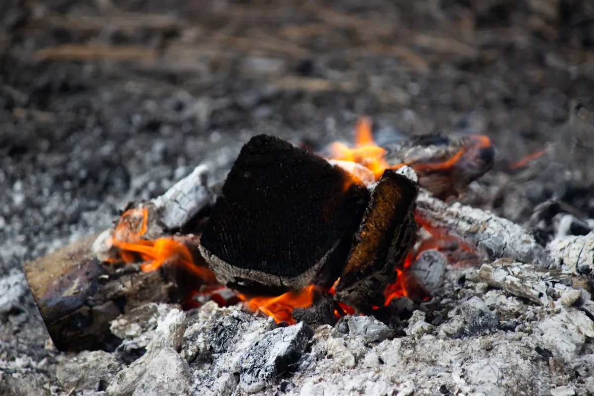 Parázsló fahamu, ami rengeteg mindenre jó.