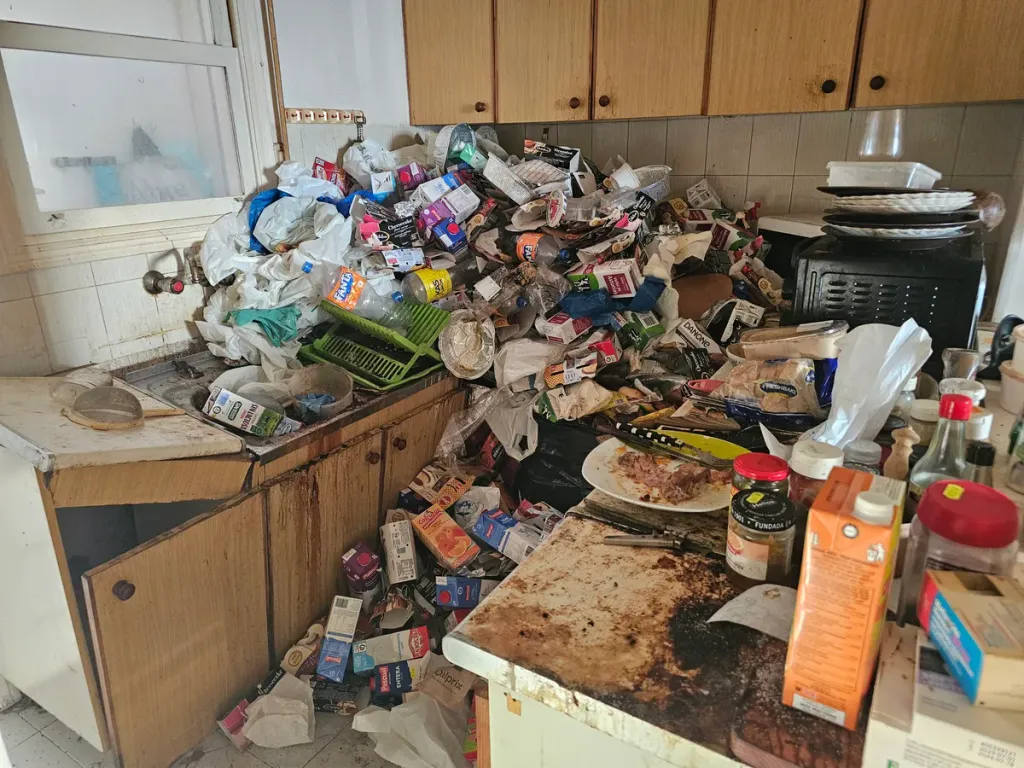 Fodor Barbara, extrém takarító