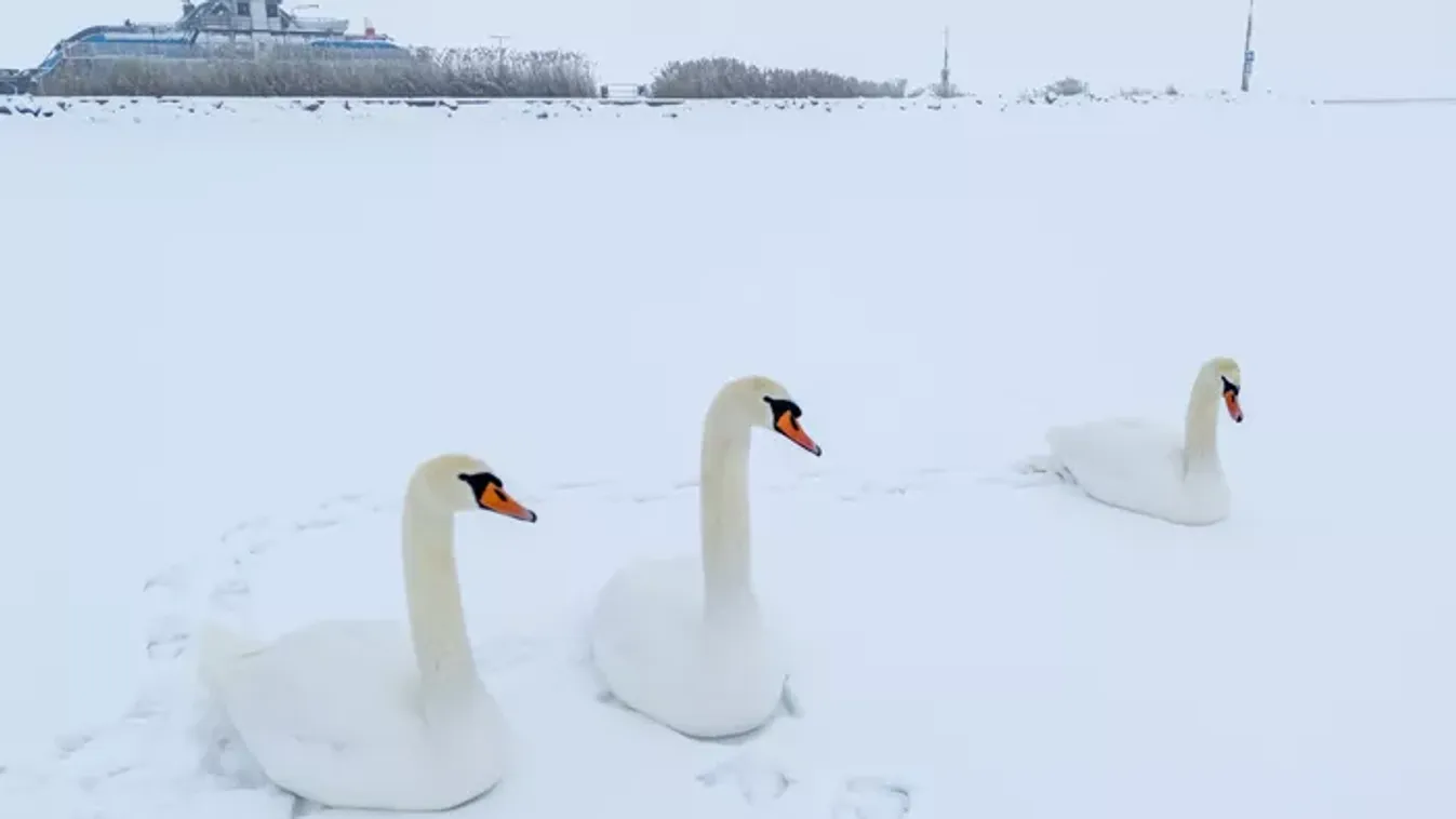 Jégbe zárt csodák: kattints és nézd meg, hogy néznek ki a befagyott tavaink