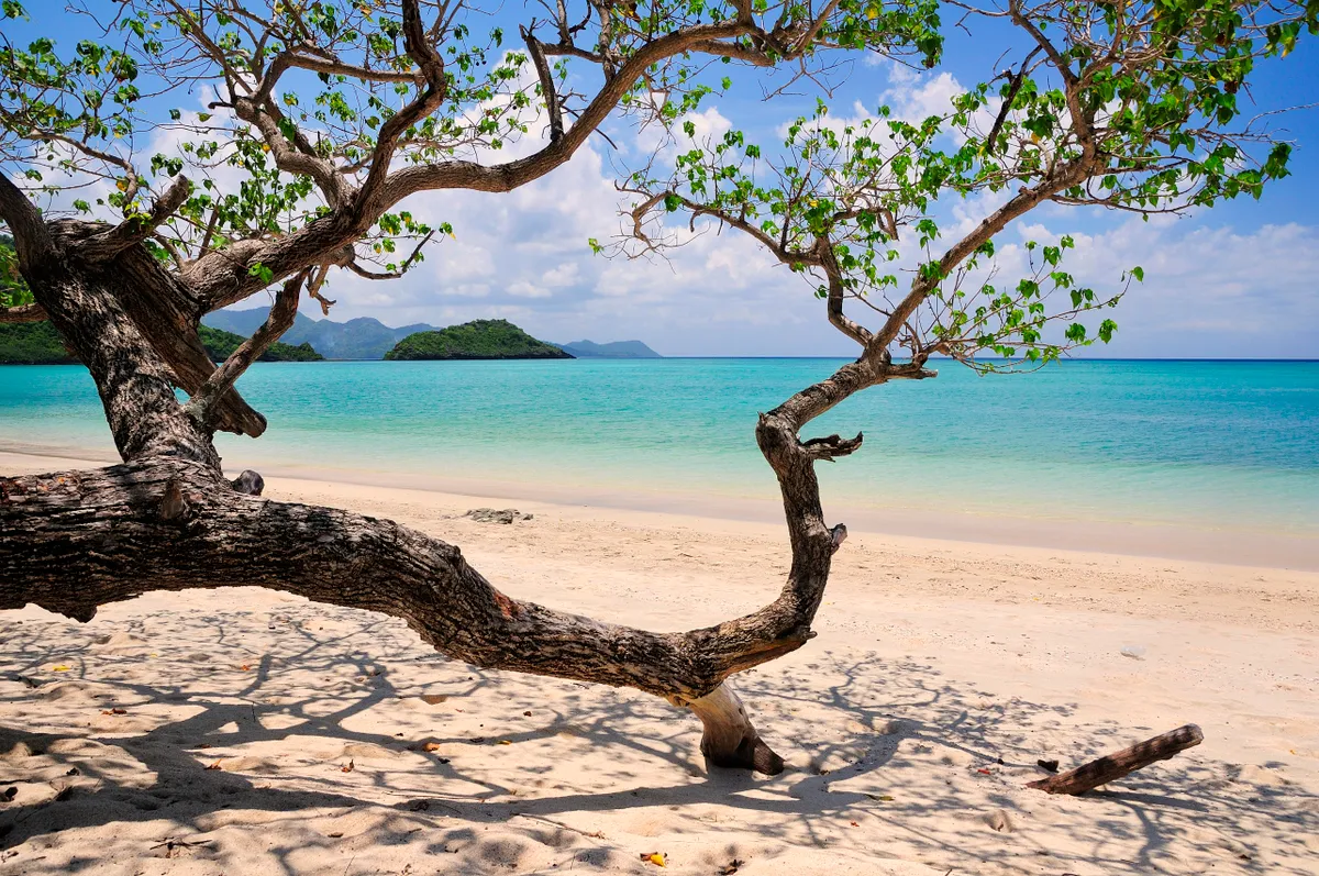 Mayotte trópusi szigeti strandja