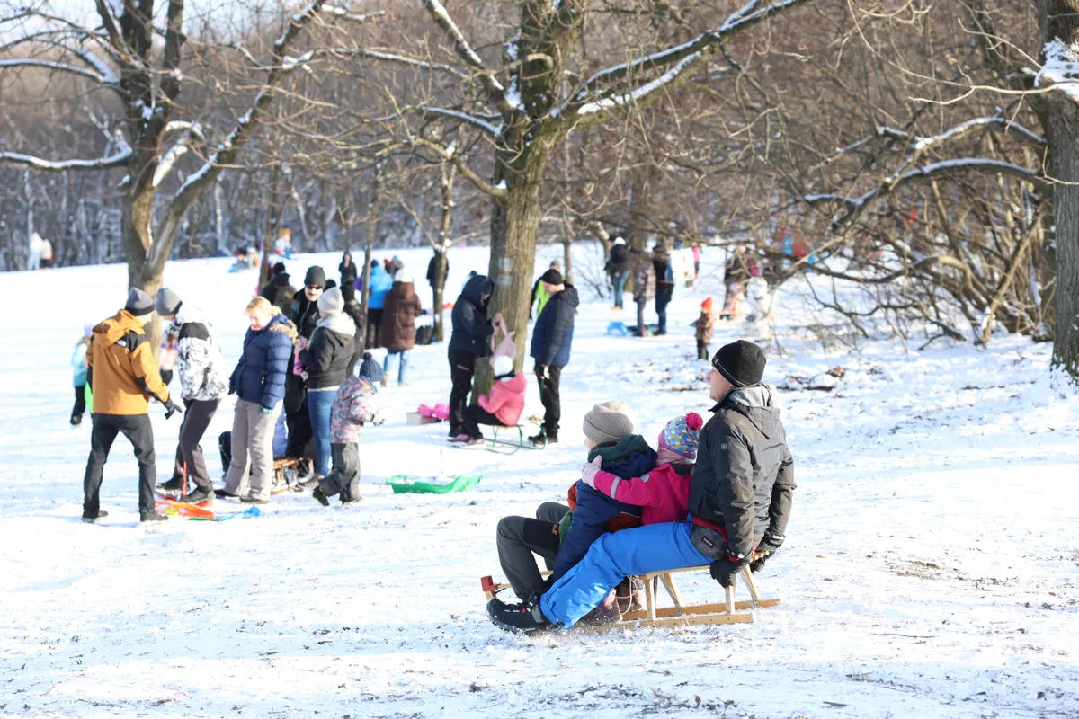 Szánkózás a Normafánál