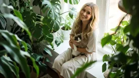 Penész a lakásban? Ezek a szobanövények tényleg segíthetnek