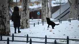 Amikor már senki nem számított rá, fehérbe borult a főváros: fotókon a hólepte Budapest