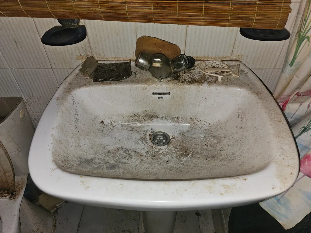 Fodor Barbara, extrém takarító