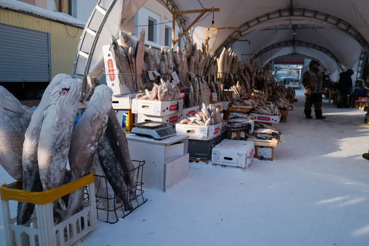 az ojmjakoni halpiac fagyott árukészletével.