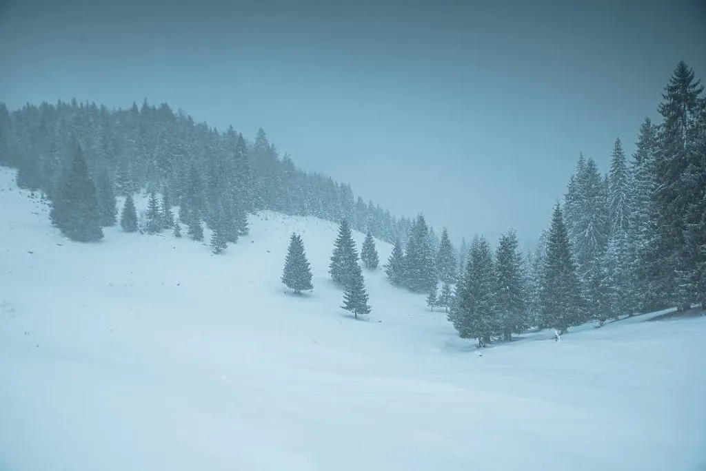 ILLUSZTRÁCIÓNAK NE HASZNÁLD!