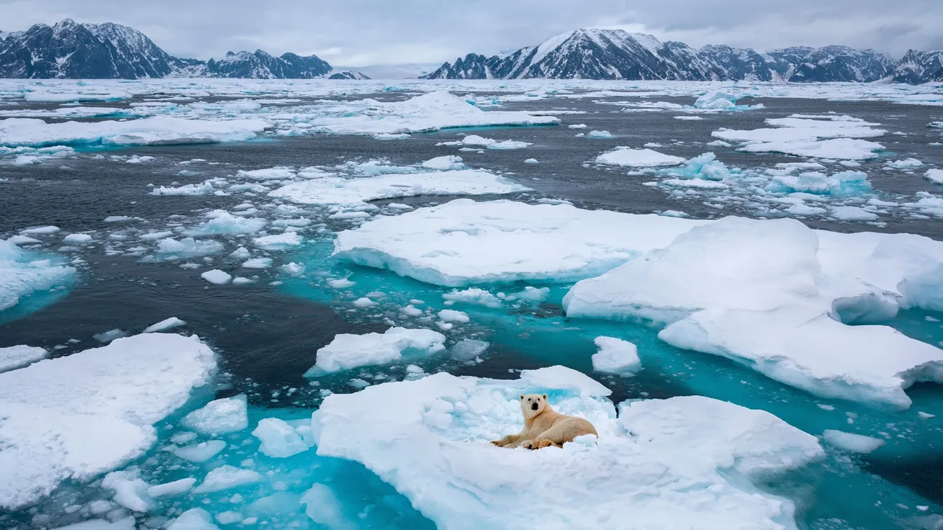 Klímaváltozás rejtett hatásai: ősi mikrobák az olvadó jég alatt – Veszélyek, amikre nem is gondolnál