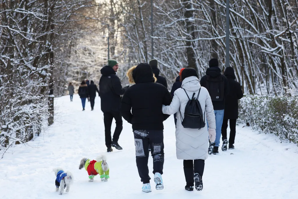 Normafa, hó havazás