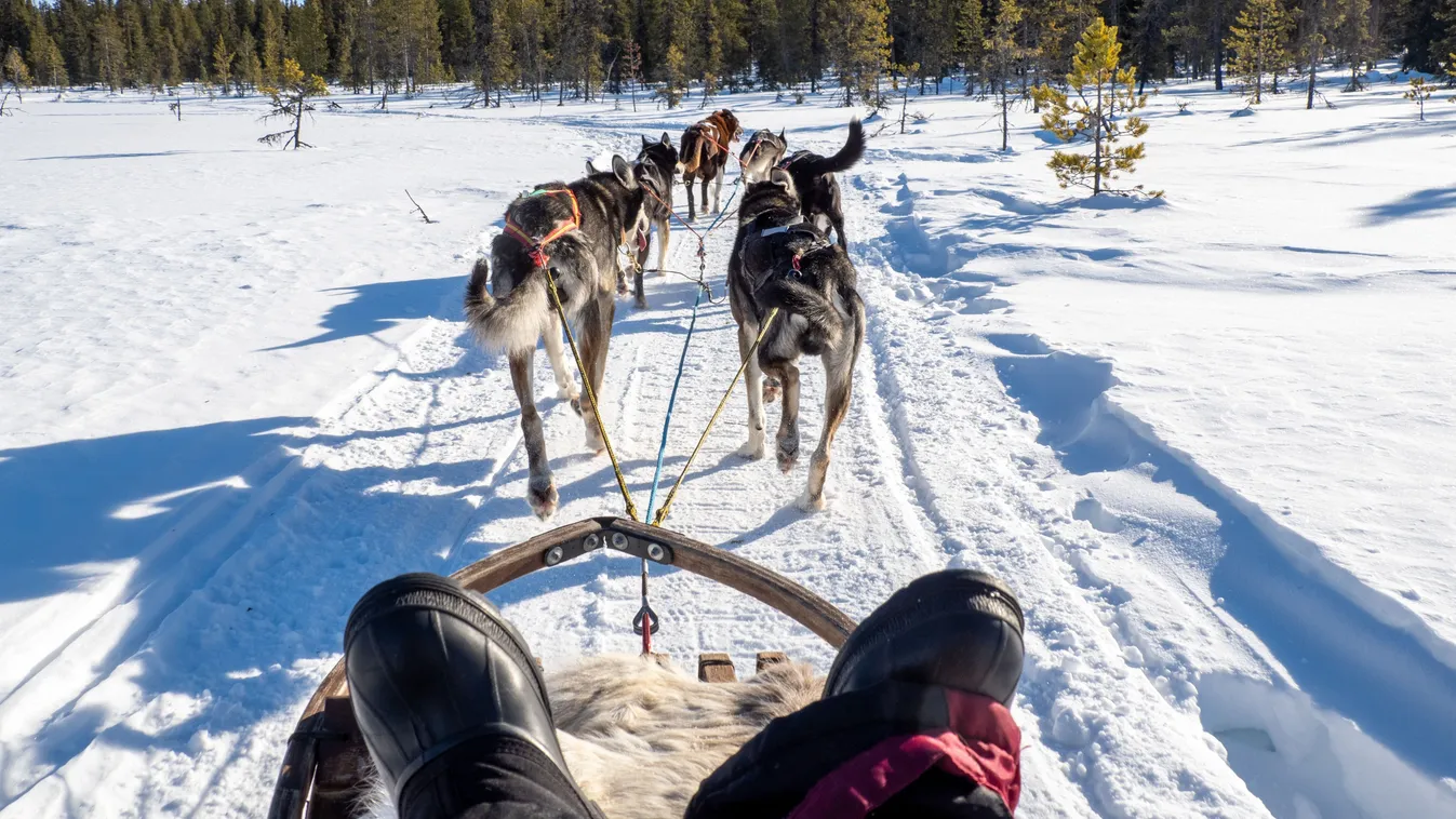 A bakancslistás téli élmények közé tartozik a kutyaszános utazás.