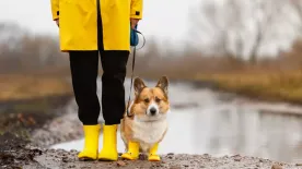 Saras cipő, vizes kabát – így mentsd meg a ruházatod az elhasználódástól