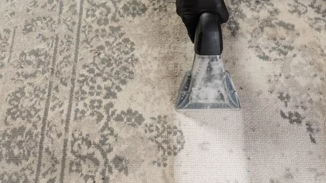 Koszos padlószőnyeg tisztítása házilag: így lesz újra tiszta és illatos lépésről lépésre