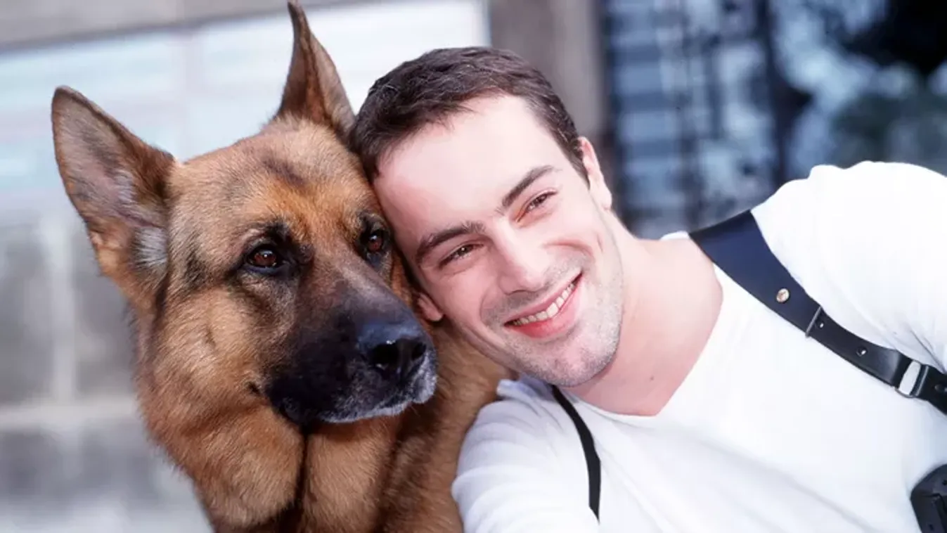 Kvíz: csak a legnagyobb Rex felügyelő rajongók tudják hibátlanul kitölteni