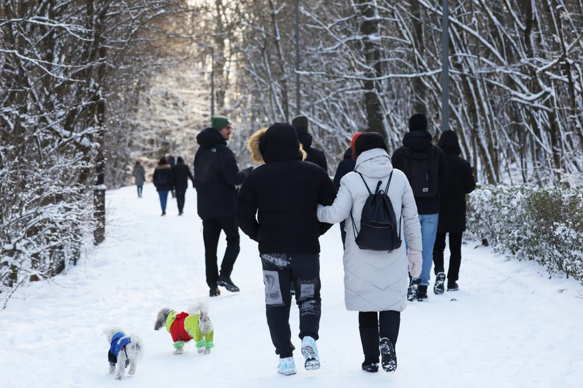 20260101_Normafa_036_TUM - télies tája a Normafán