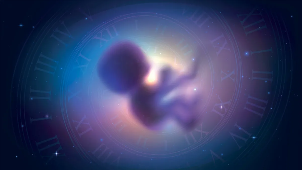 Egy embrió lebeg, töltsd ki a személyiségtesztünket!