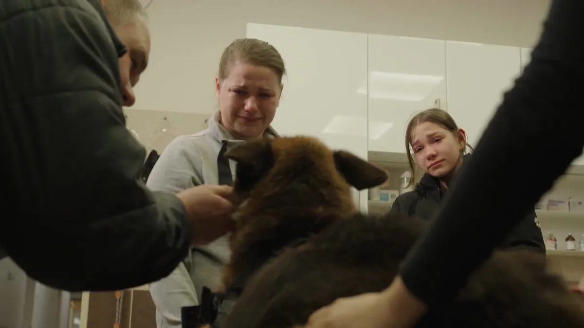 Még egy utolsó simogatás a műtét előtt