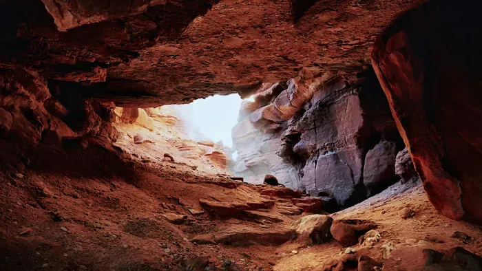Feltárták a világ legősibb barlangrajzát