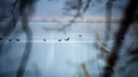 Íme Budapest óriástava télen – Igazi csoda a város szélén egy könnyű kiránduláshoz