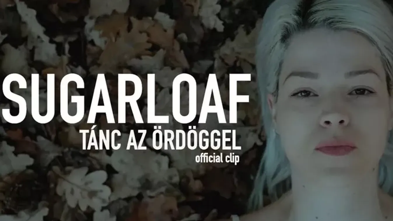 Muri Enikő: „A családon belüli erőszak nem ritka...”