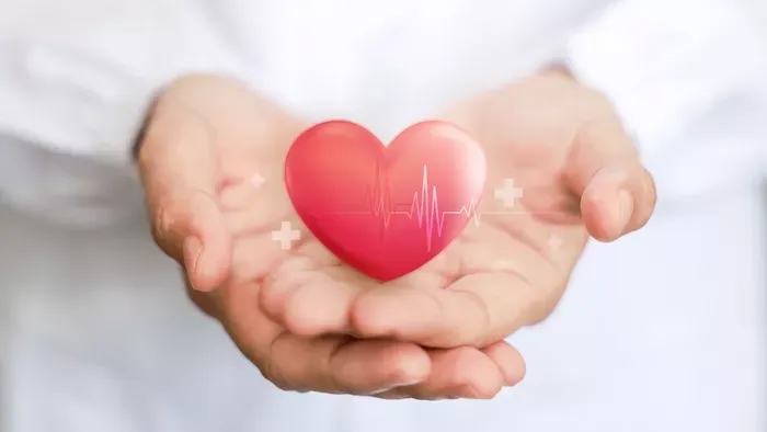 Nagy szív-és érrendszer teszt – Milyen állapotban vagy?