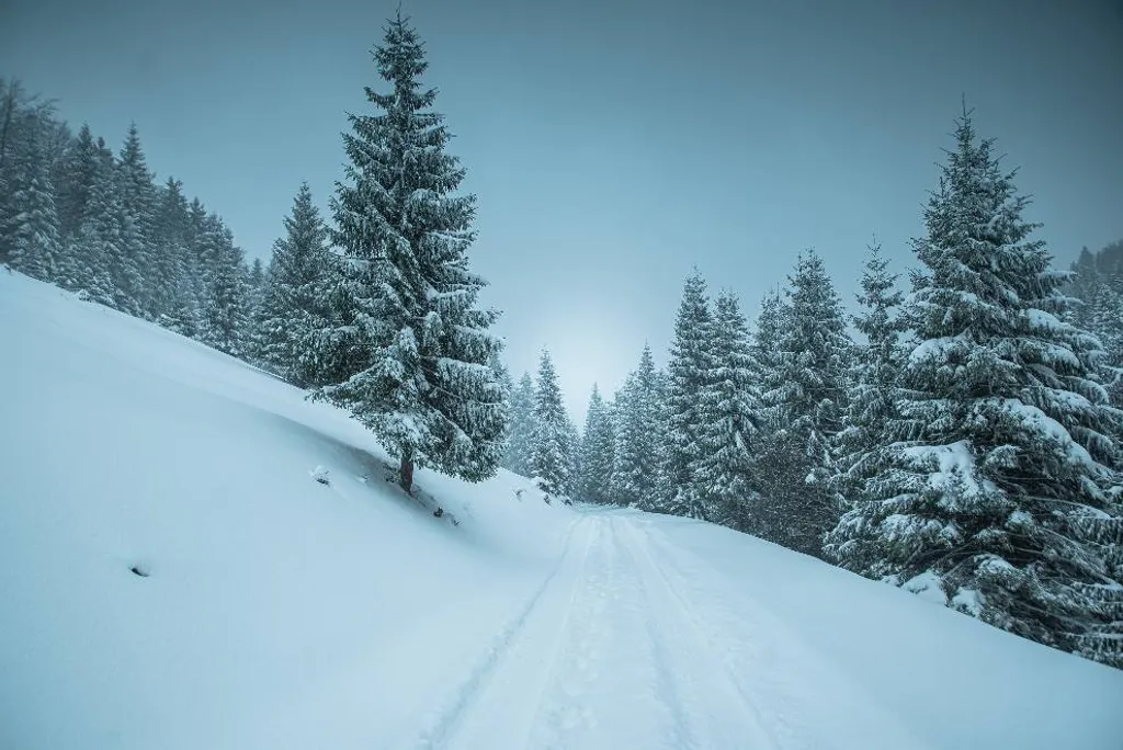 ILLUSZTRÁCIÓNAK NE HASZNÁLD!