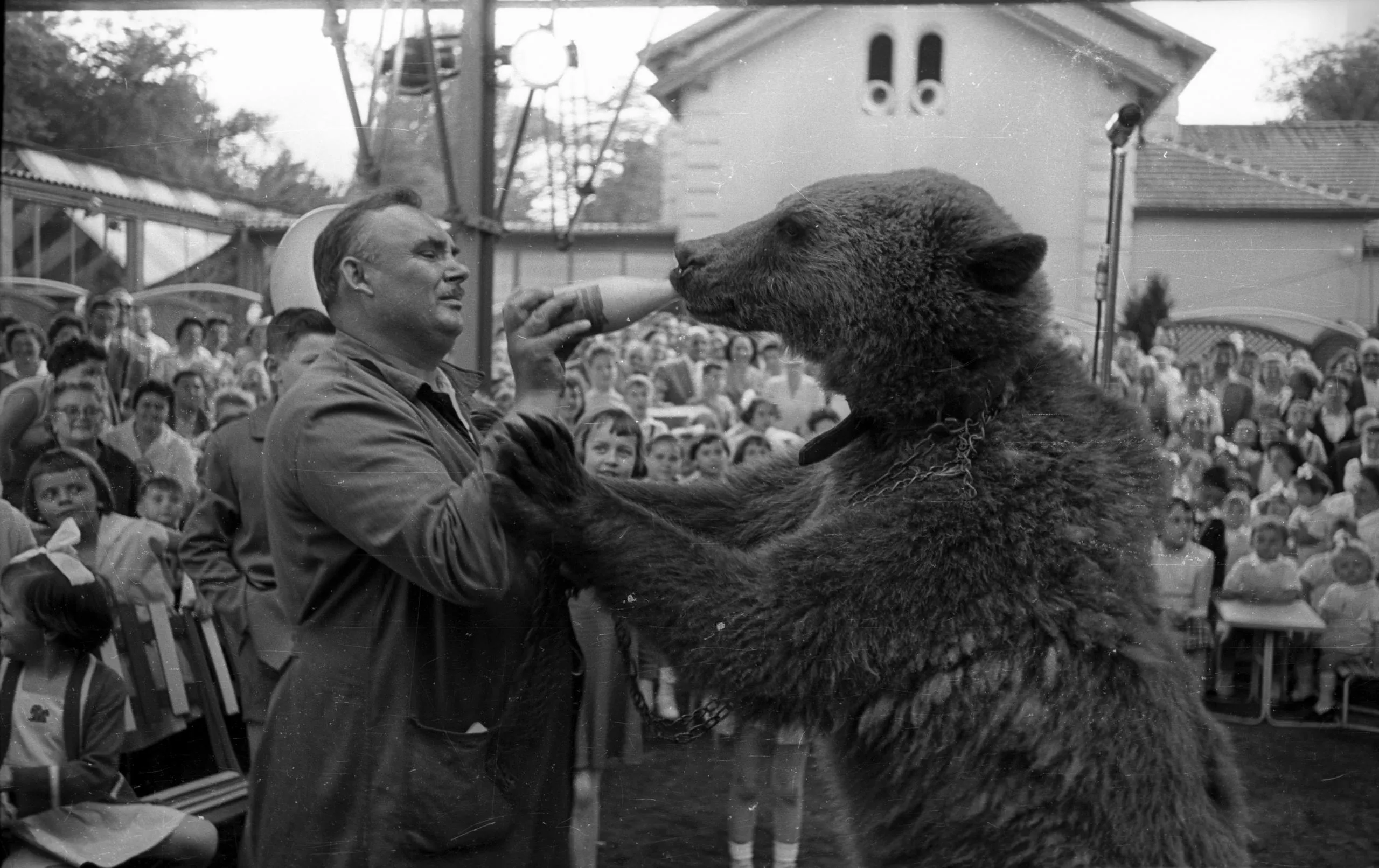 Kvíz kérdést ábrázoló kép