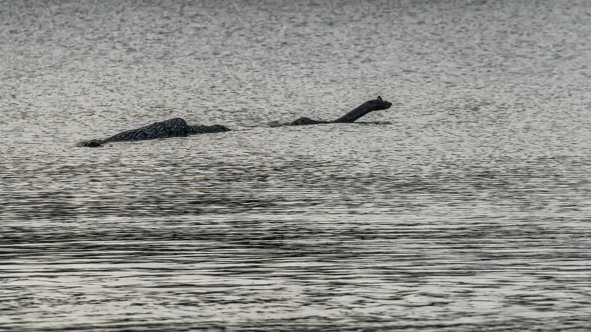 Log in the lake looks like the Loch Ness monster