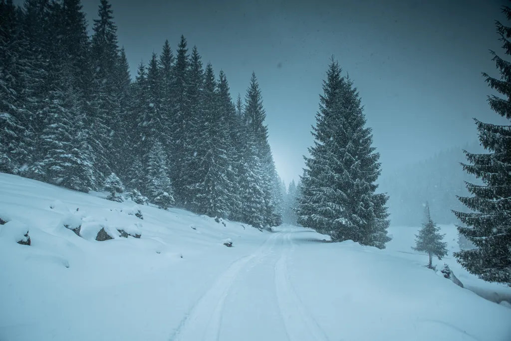 ILLUSZTRÁCIÓNAK NE HASZNÁLD!