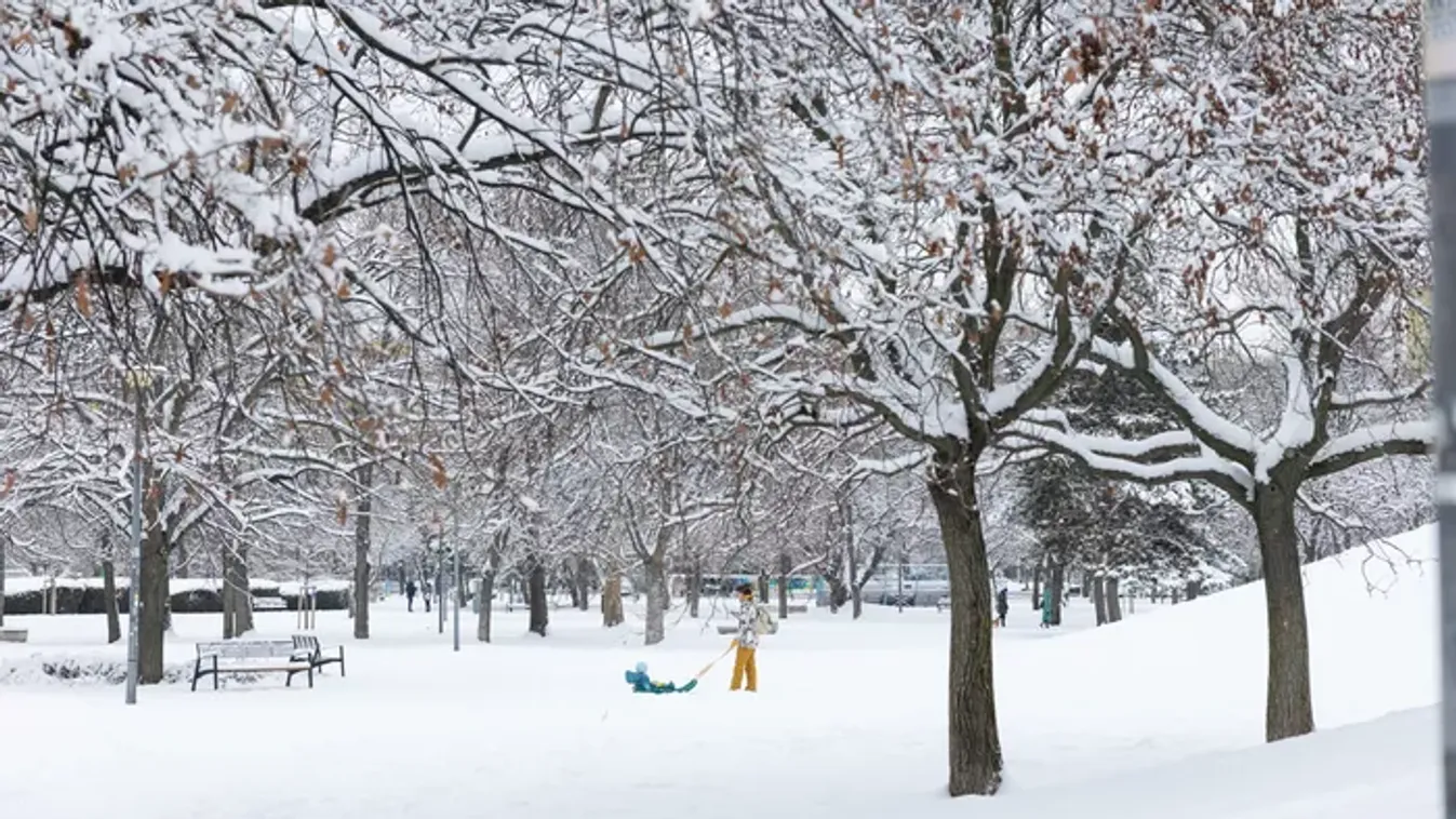 Éles helyzetben nyújtott segítséget a Magyar Honvédség