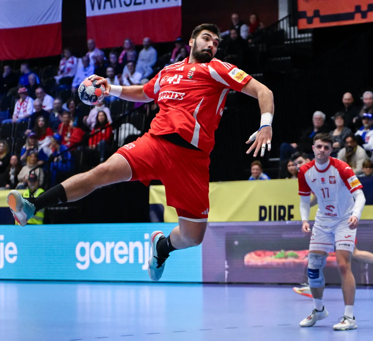 Magyarország-Lengyelország: Rosta Miklós