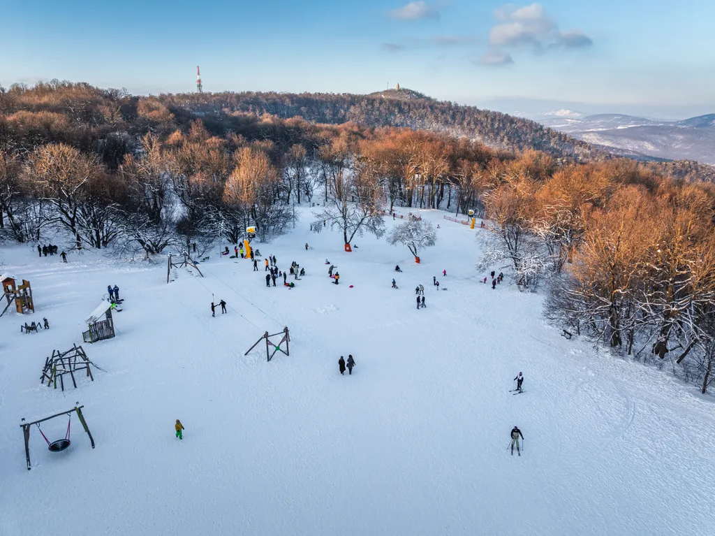 20260108 Budapest 
Szánkózó emberek a Normafán 
fotó: Gábor Zoltán (GZ) 
MW Bulvár