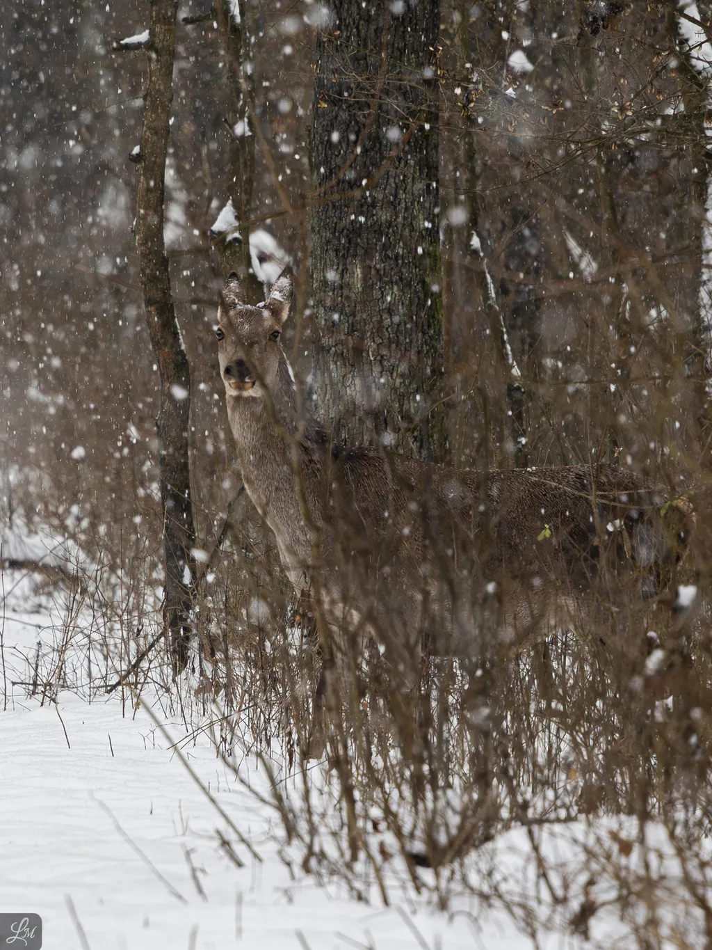 Duna-Dráva Nemzeti Park