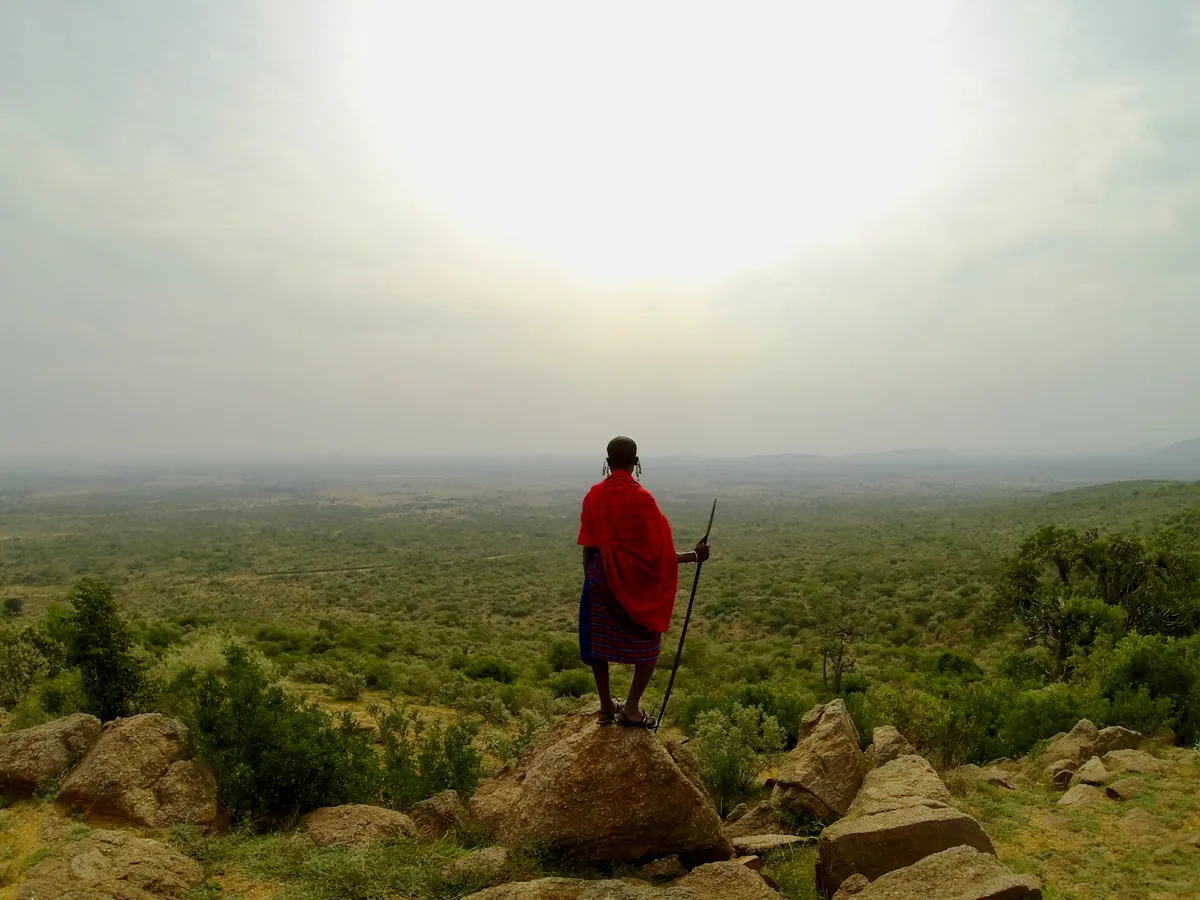 aszáj harcos egy kövön állva csodálja a szavannát.