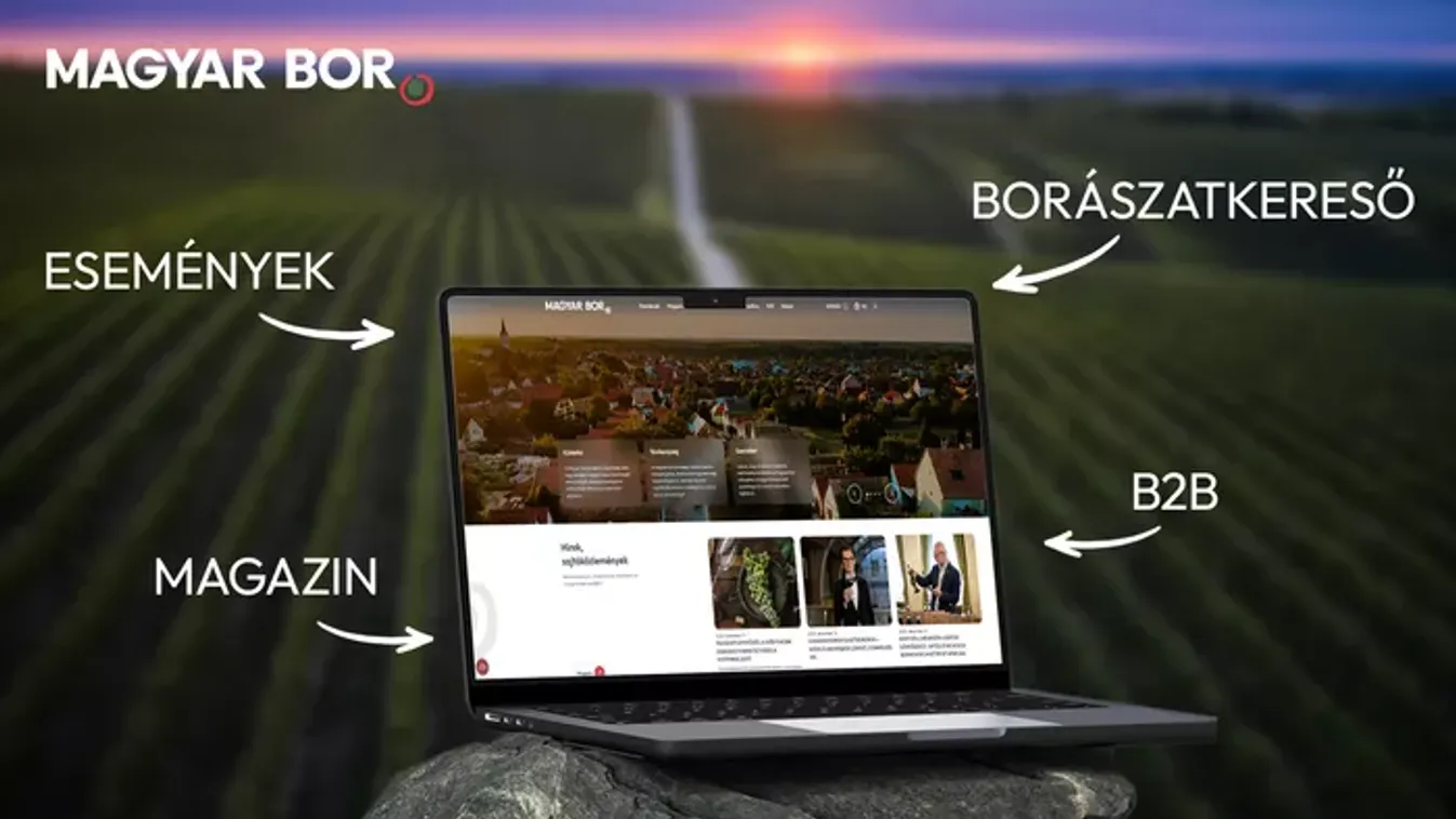 Megújult a bor.hu – a magyar borok világa új köntösben