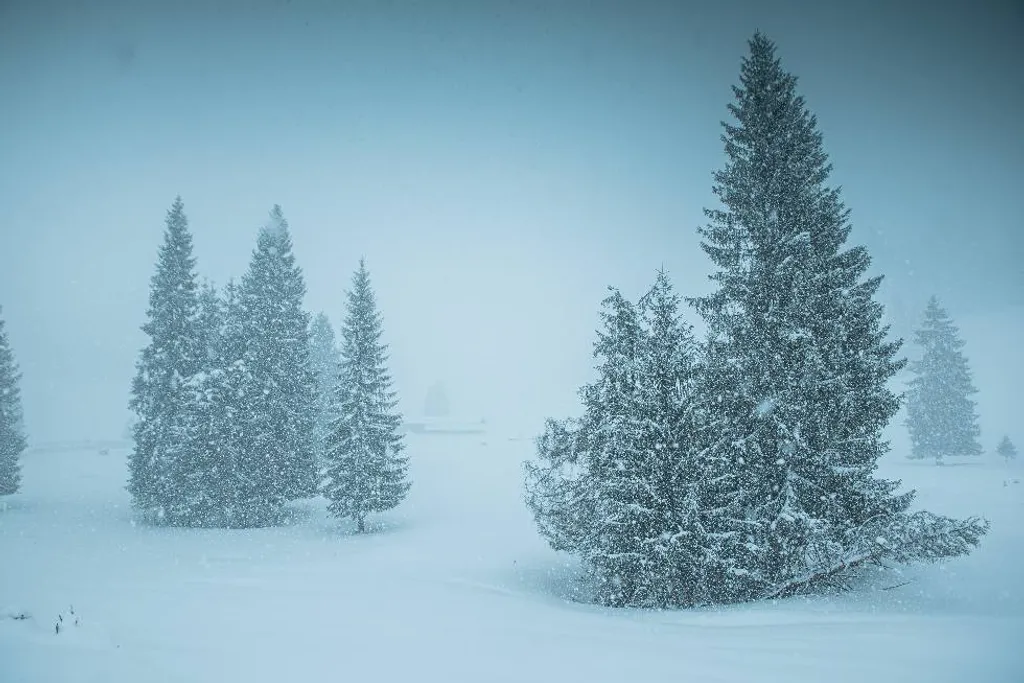 ILLUSZTRÁCIÓNAK NE HASZNÁLD!