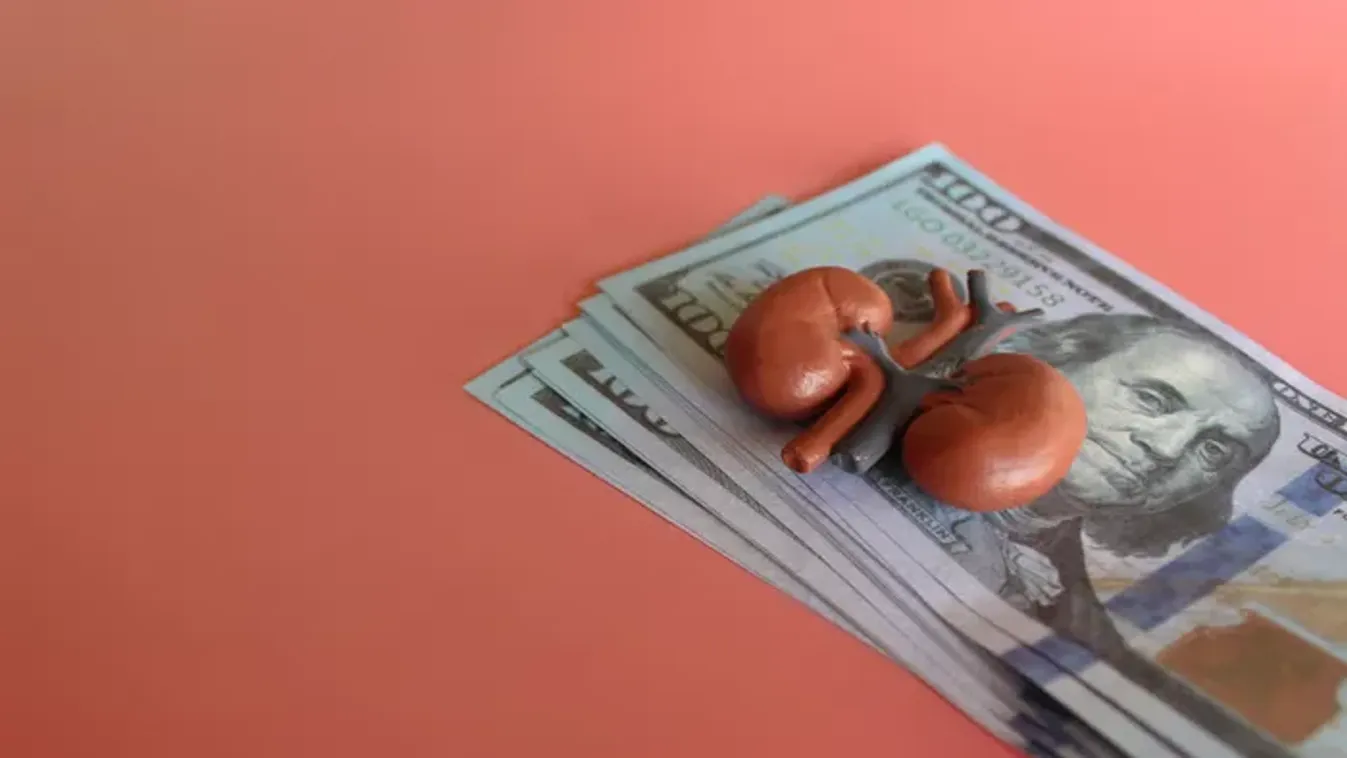 Ennyit kérnek az emberi testrészekért a szervkereskedők