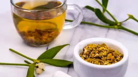 A fehér fagyöngy gyógyhatása: a magas vérnyomás egyik legjobb orvossága