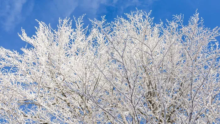 Megszólalt a havazás kapcsán az Országos Mentőszolgálat