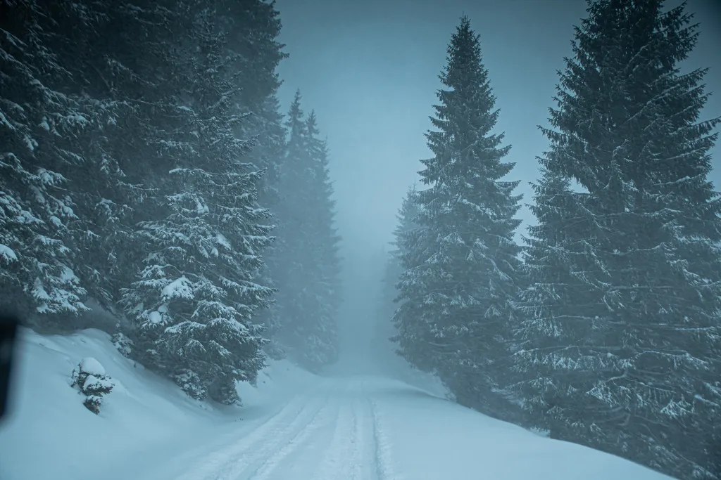 ILLUSZTRÁCIÓNAK NE HASZNÁLD!