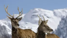 Hétvégi kirándulást terveztek a családdal? Itt a tökéletes úti cél, ahol a természet találkozik az alpesi életmóddal