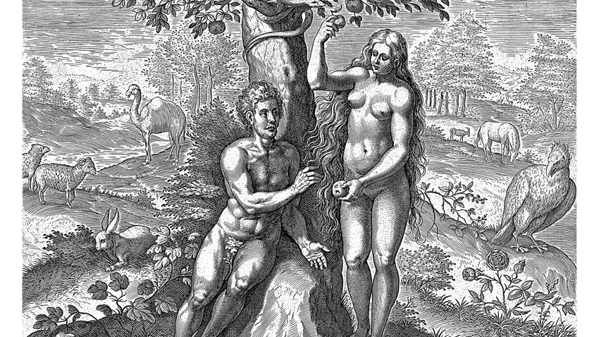 Kvíz kérdést ábrázoló kép